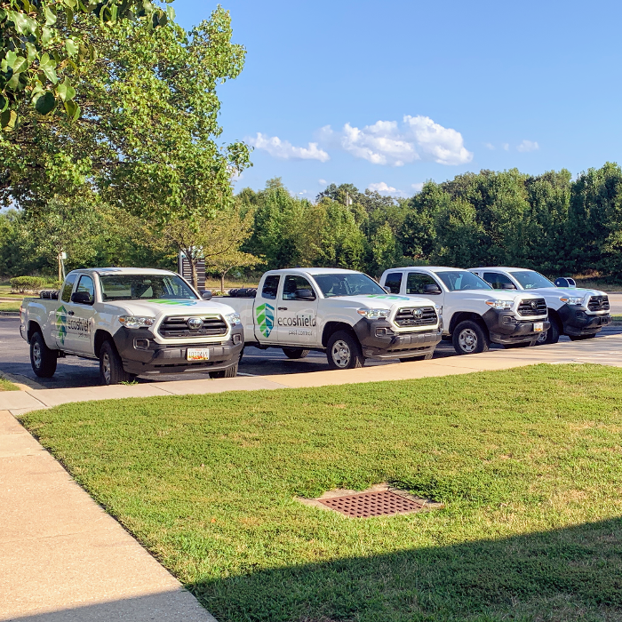 EcoShield Pest Solutions - Annapolis Junction, MD