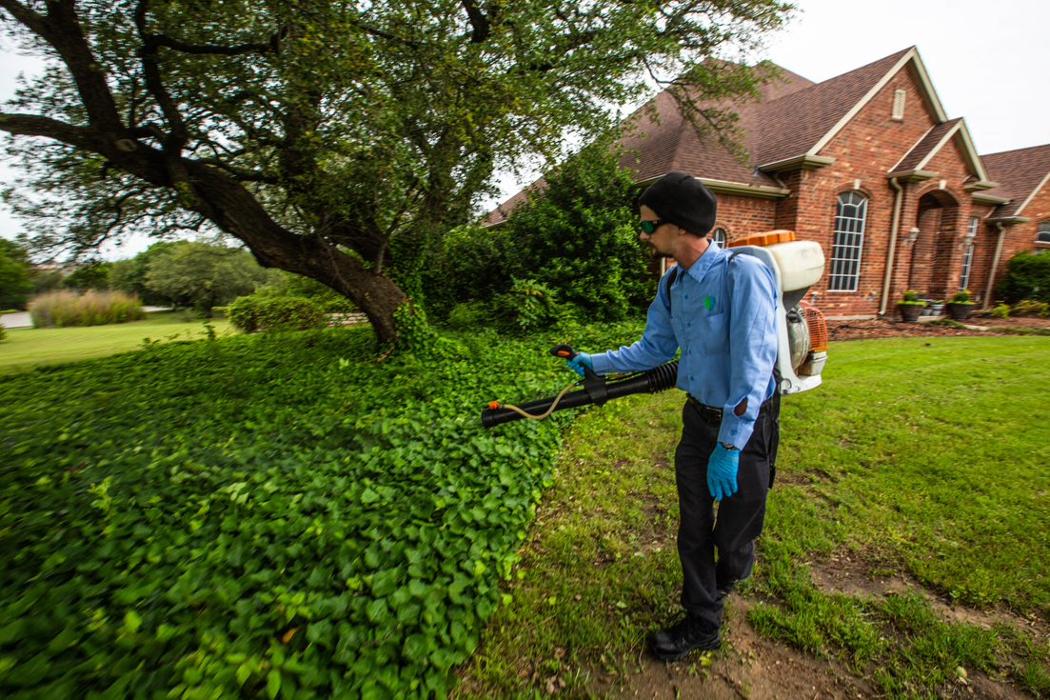 EcoShield Pest Solutions