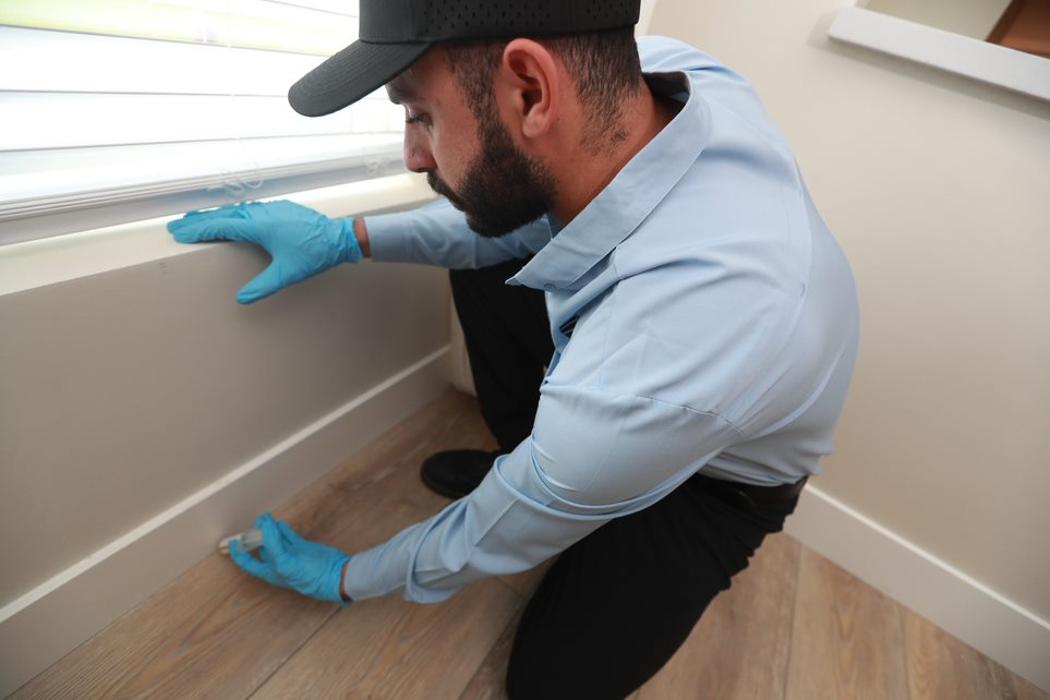 EcoShield Pest Solutions