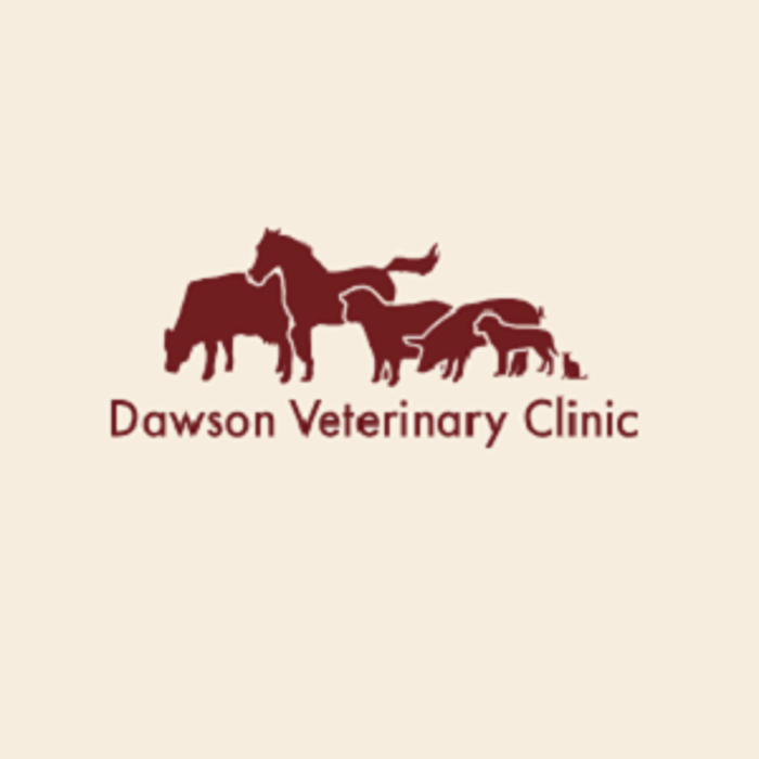 Dawson Veterinary Clinic