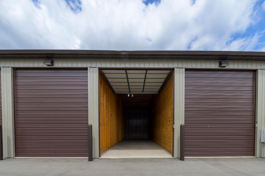 Storage Lion