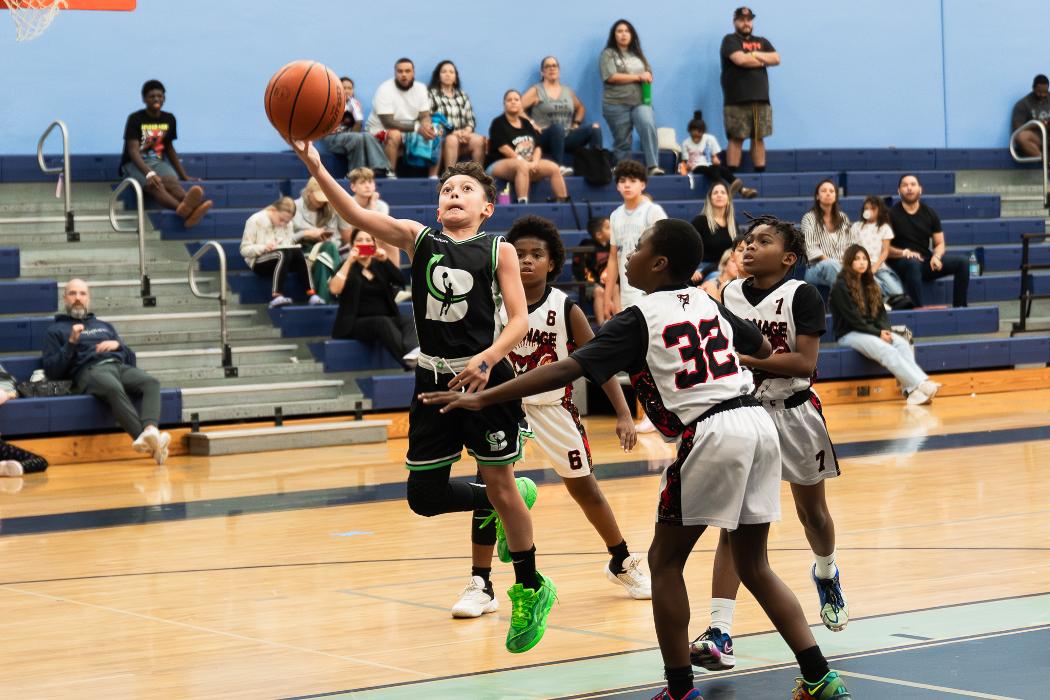 Next Level Basketball
