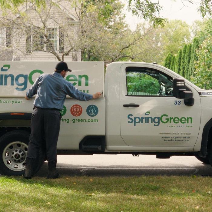 Spring Green