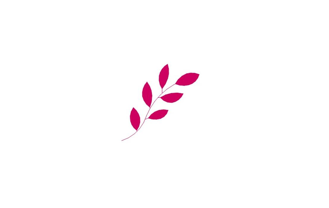edilencosmeticS