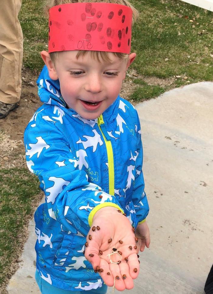 Merryhill Preschool of Lone Tree