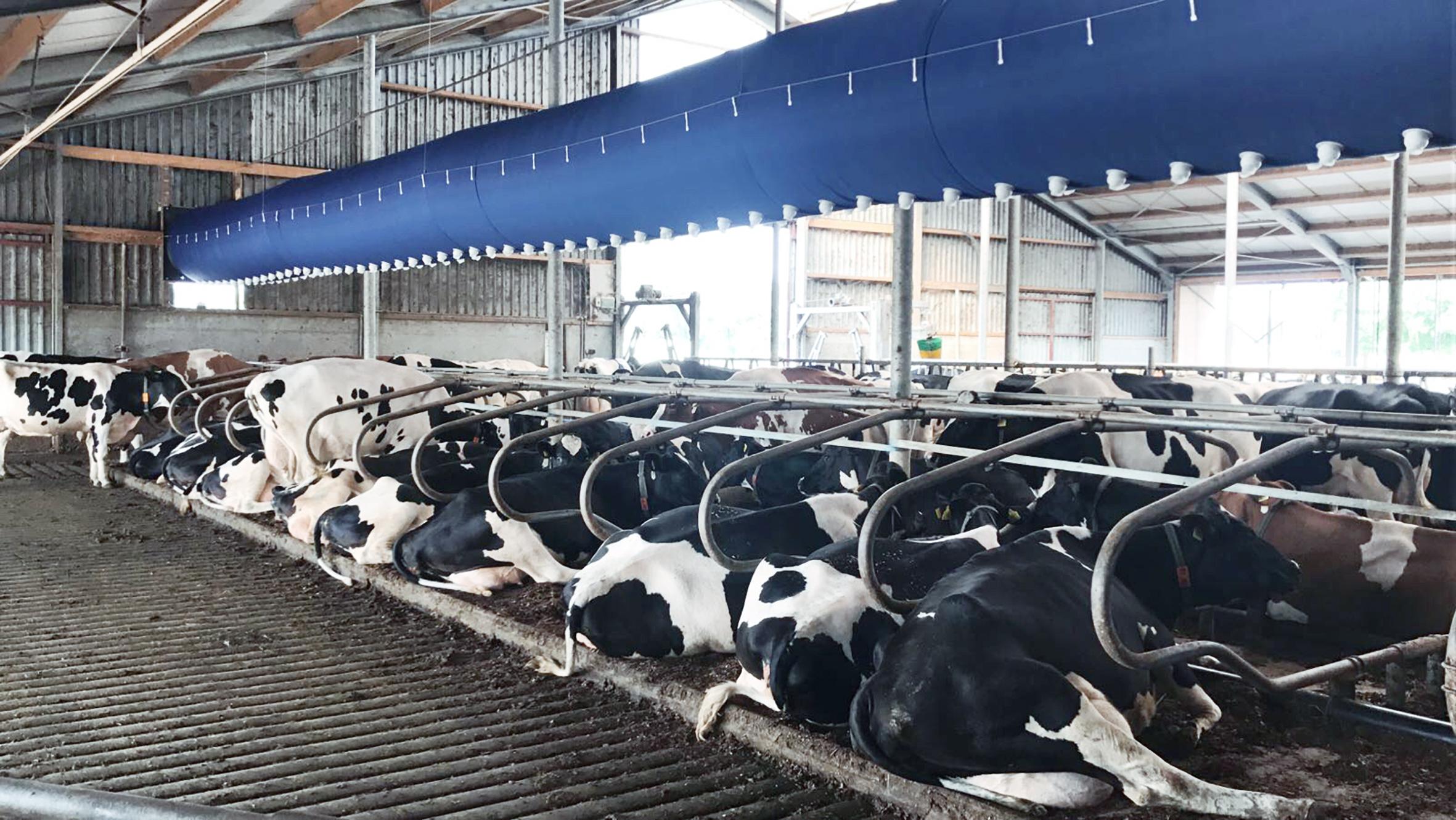 Dr. Knopf & Oswald GmbH, Loitersdorf in Aßling