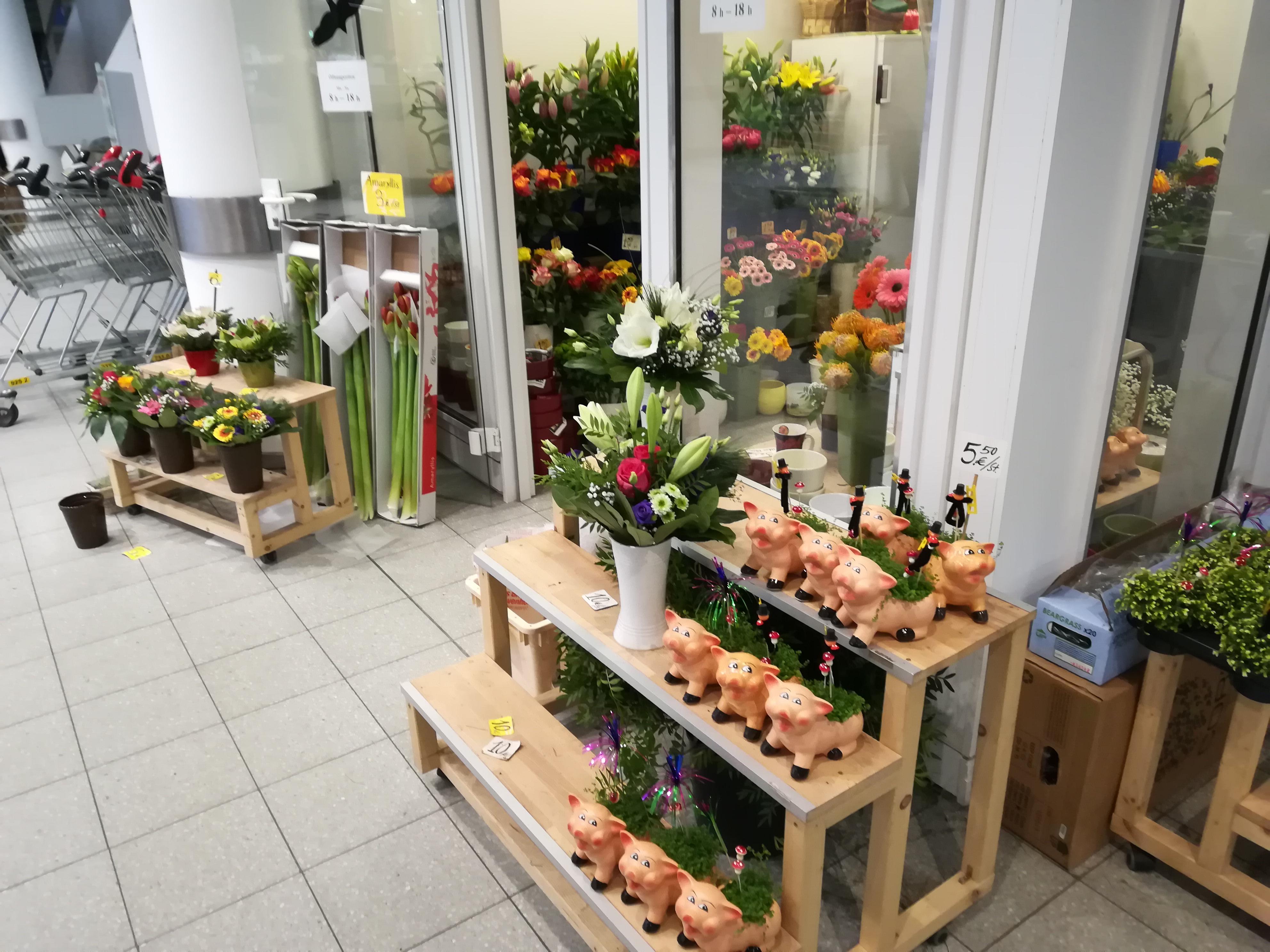 Galerie-Thumbnail