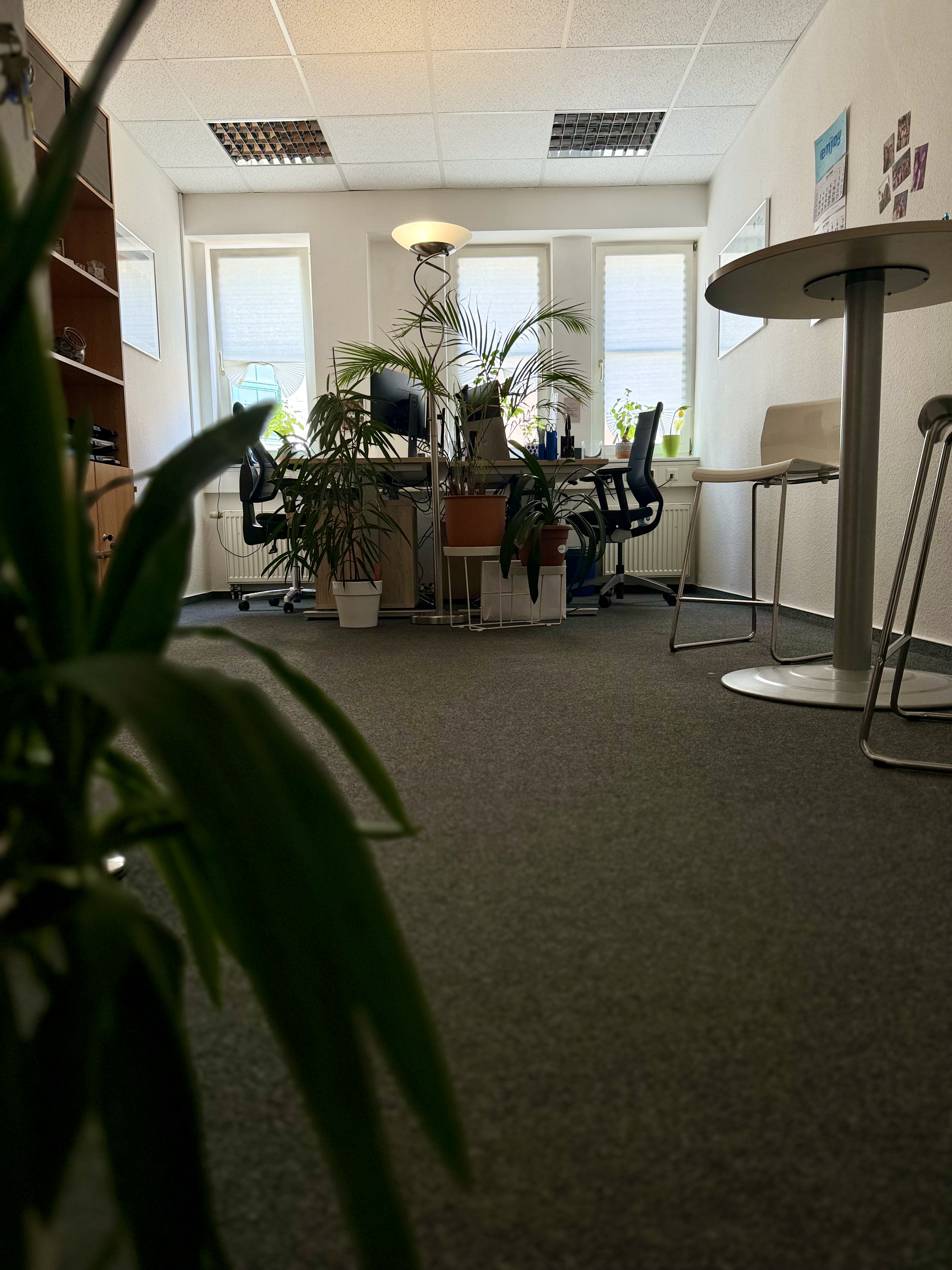Galerie-Thumbnail