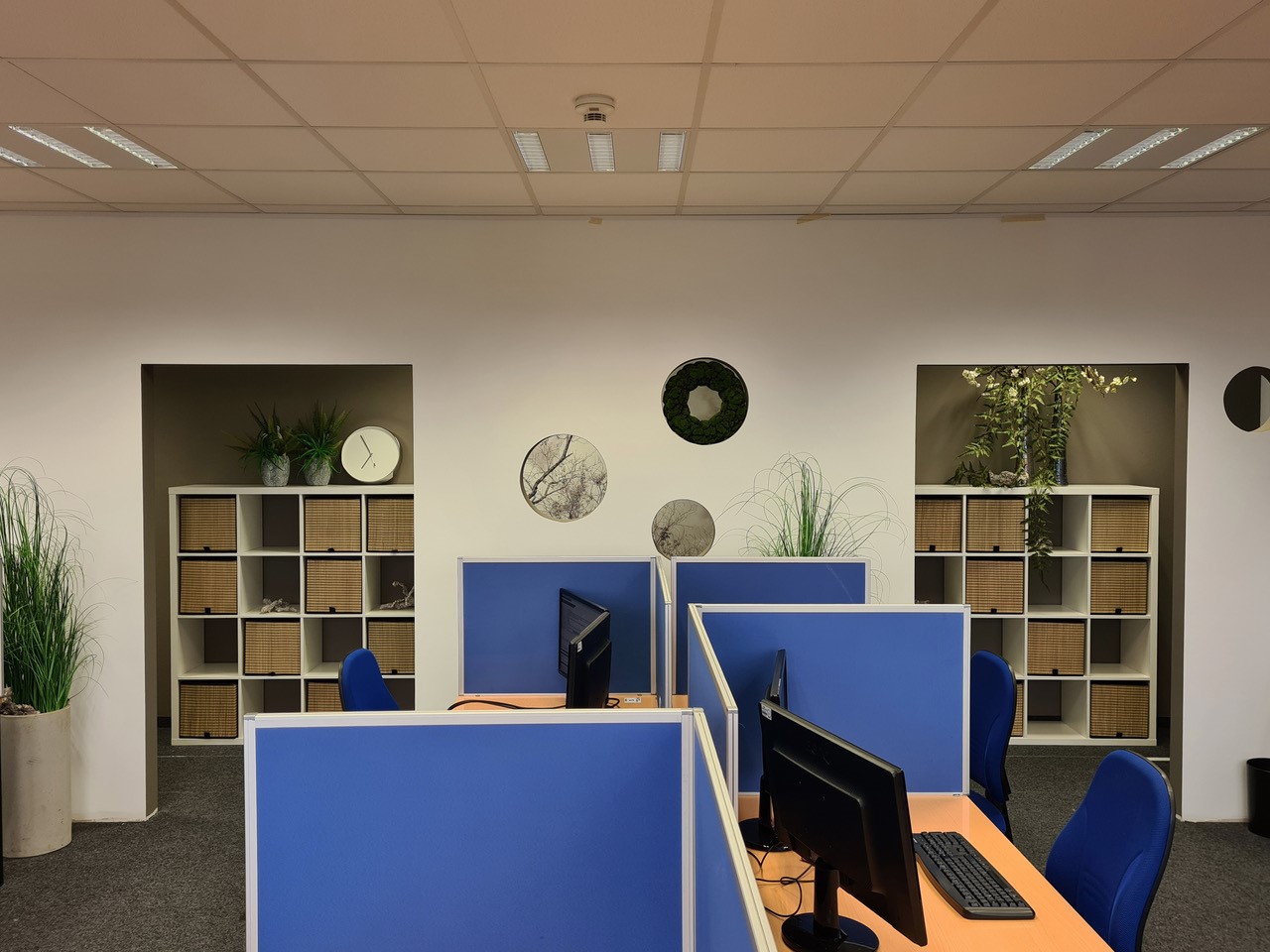 Galerie-Thumbnail