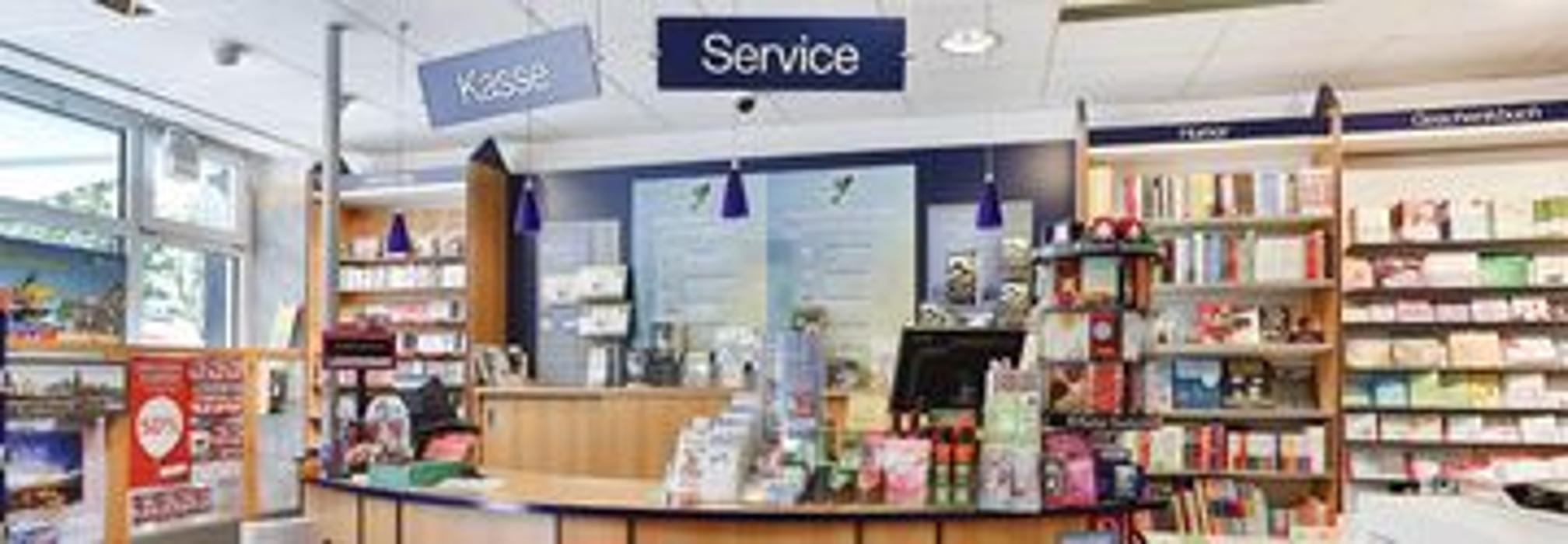 Thalia Dresden - Borsbergstraße, Borsbergstraße in Dresden