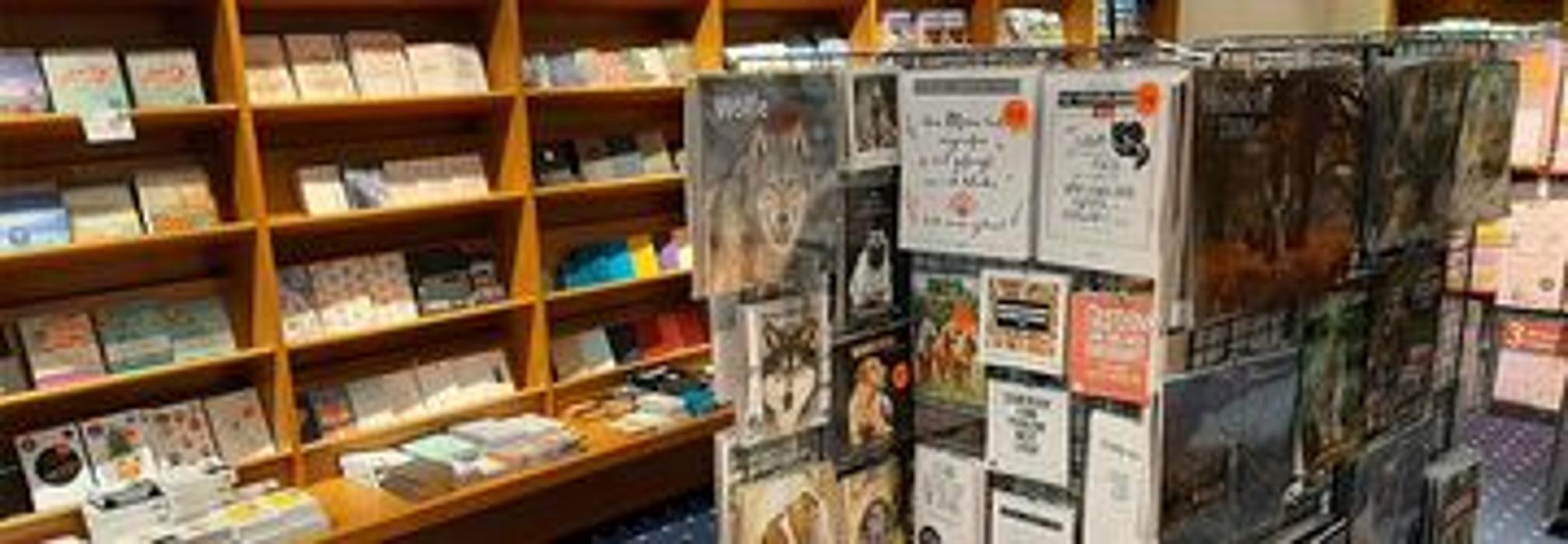 Thalia Hof, Altstadt in Hof