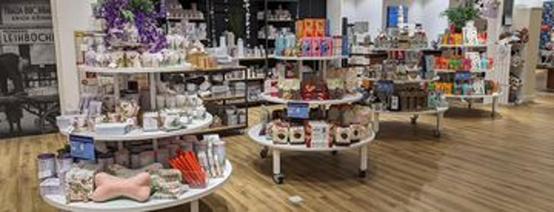 Thalia Kassel, Obere Königsstraße in Kassel