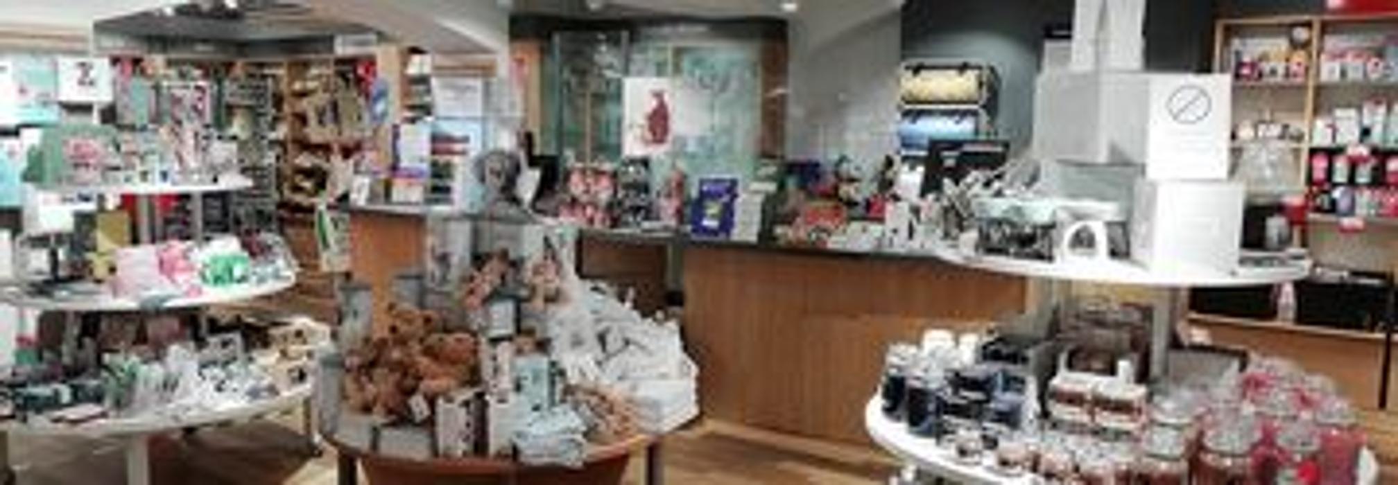 Thalia Zwickau, Innere Plauensche Straße in Zwickau