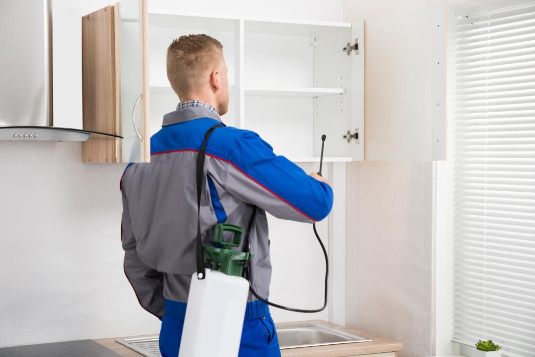 Humphreys Insect & Rodent, Inc. - Stirling, NJ