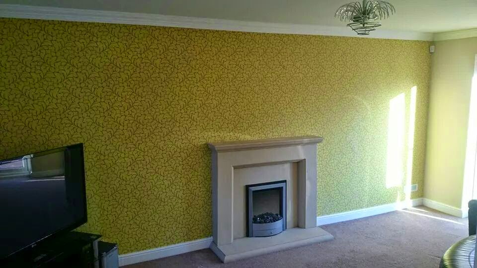 Carlo Picasso Decorators Ltd Bury 07808 242548