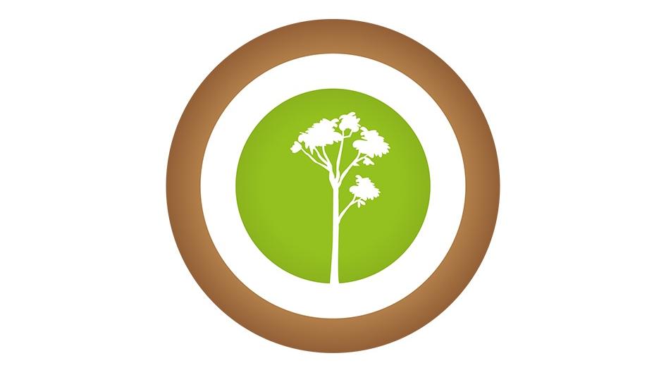 Projekt Baum & Garten, Inh. Ivo Pascal Neu, Neue Straße in Bornheim