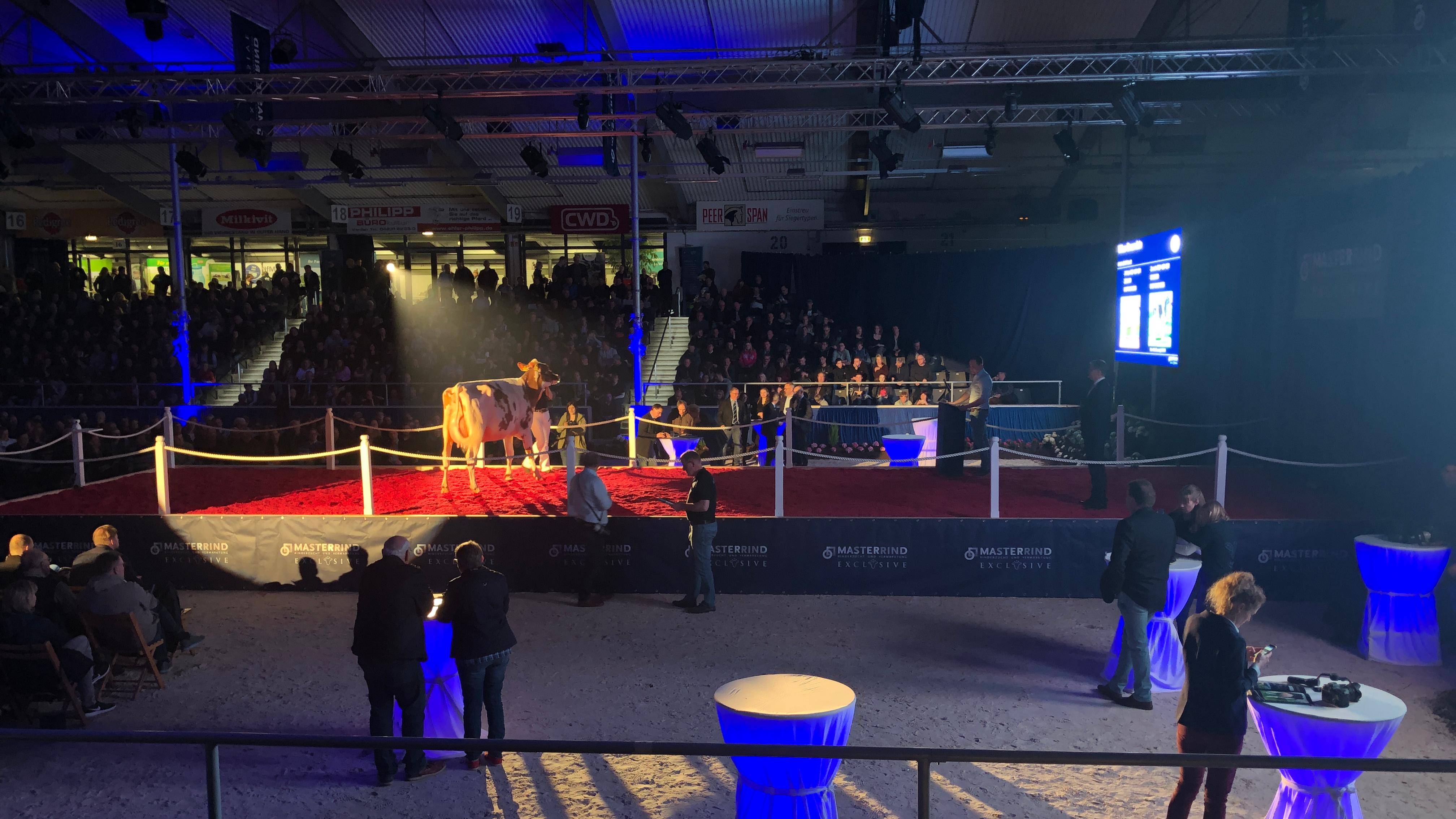 Light'n'Sound Eventtechnik & -services, Klein-Kollenburg-Straße in Willich