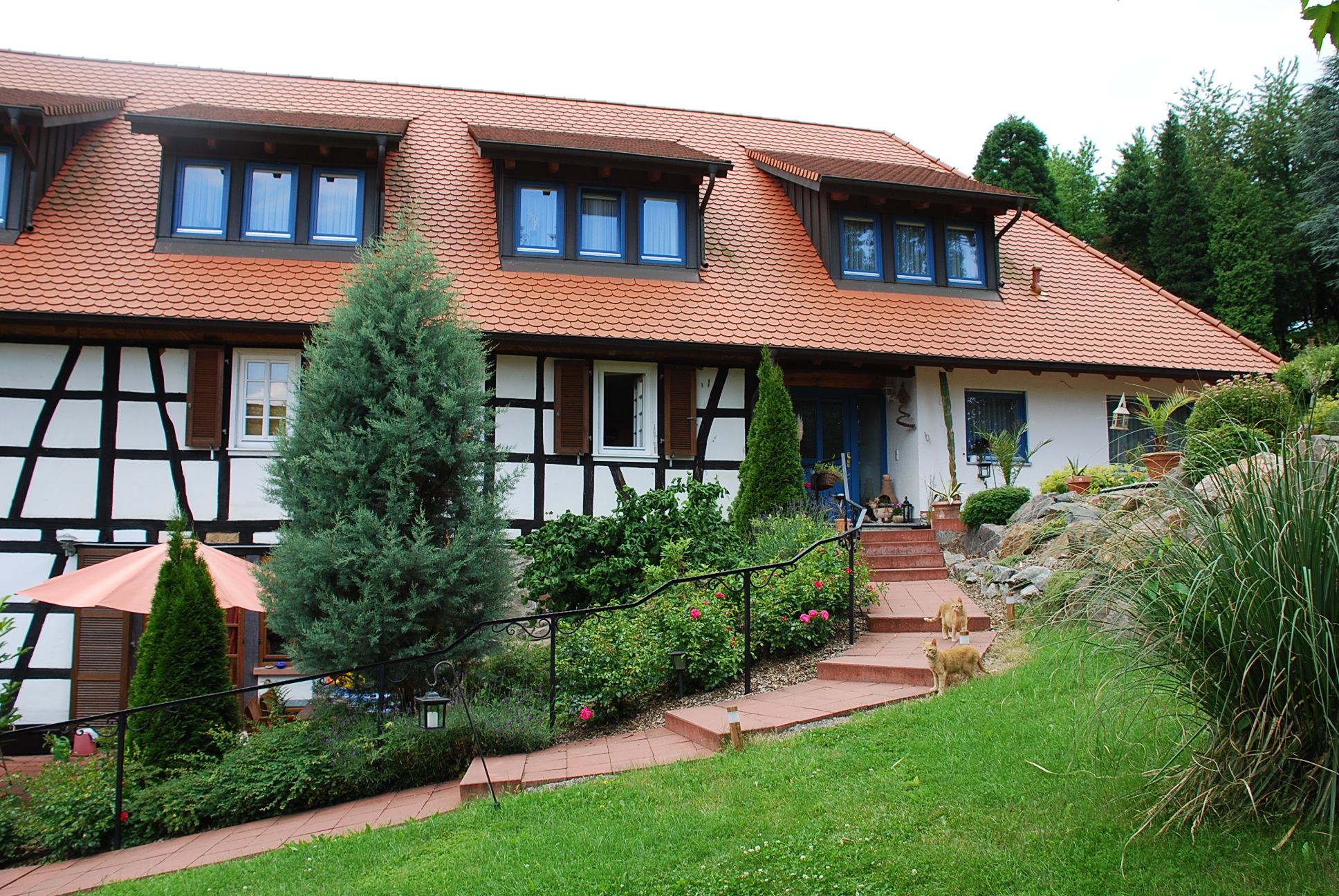 Galerie-Thumbnail