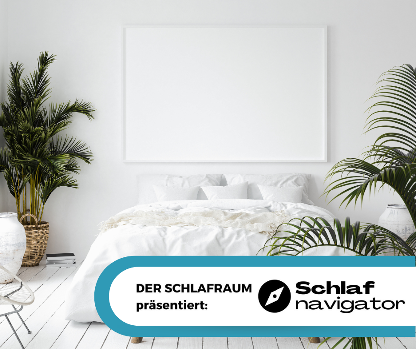 Schlafnavigator Bjoern Steinbrink c/o Der Schlafraum