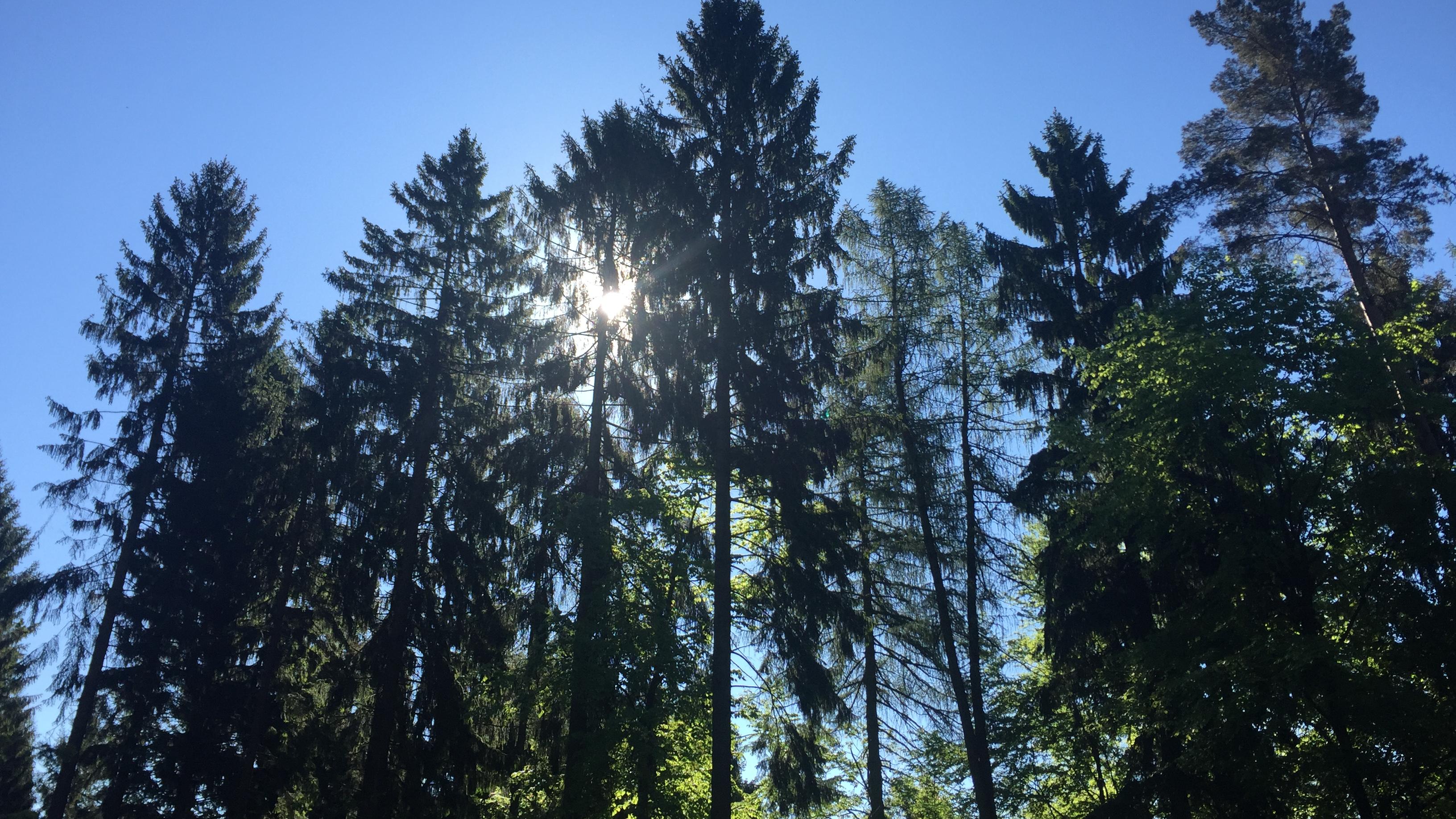 mit weniger stress leben, Röschbergweg in Wilhelmsfeld
