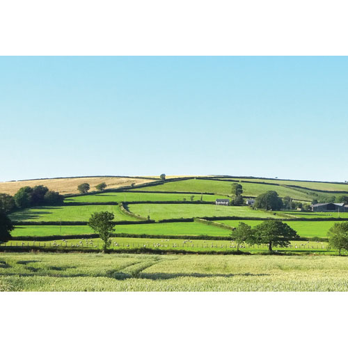 Drewstone Farm Self Catering Cottages - South Molton, Devon EX36 3EF - 01769 572337 | ShowMeLocal.com