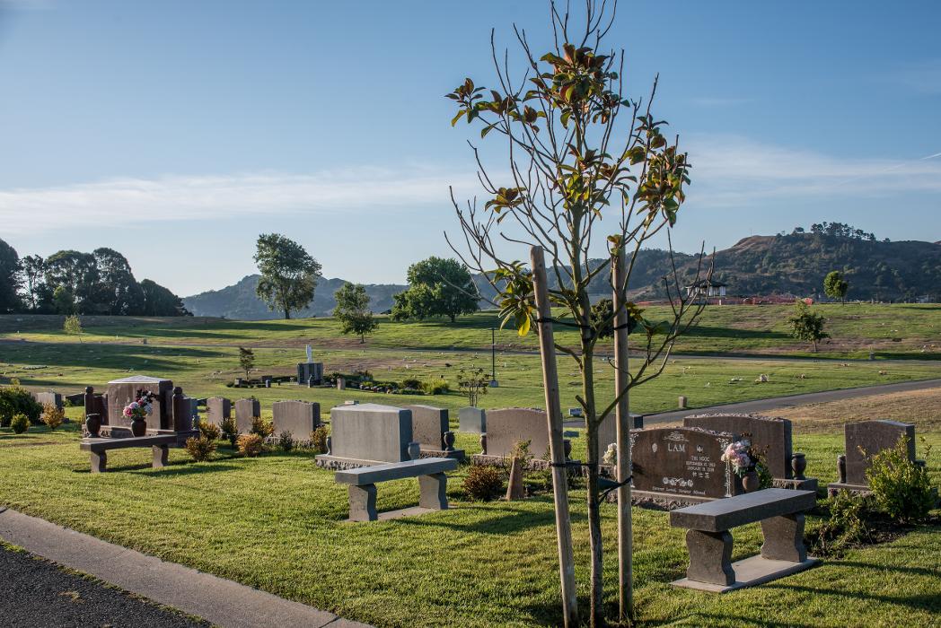 Rolling Hills Memorial Park - El Sobrante, CA