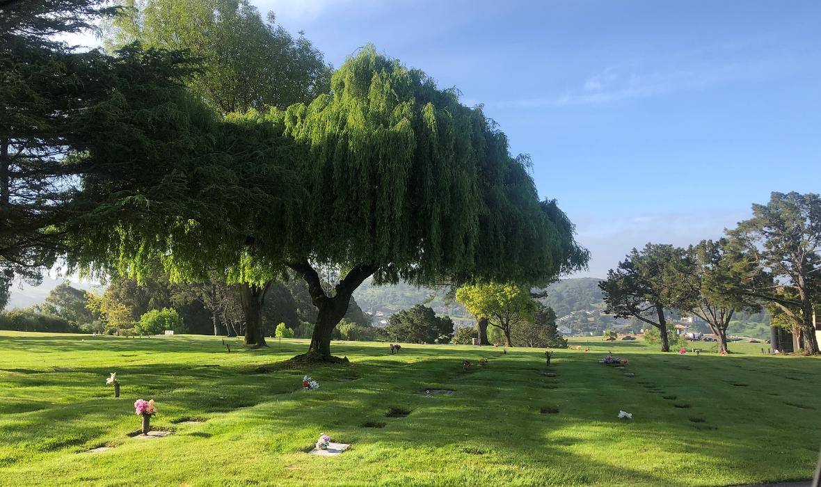 Rolling Hills Memorial Park - El Sobrante, CA
