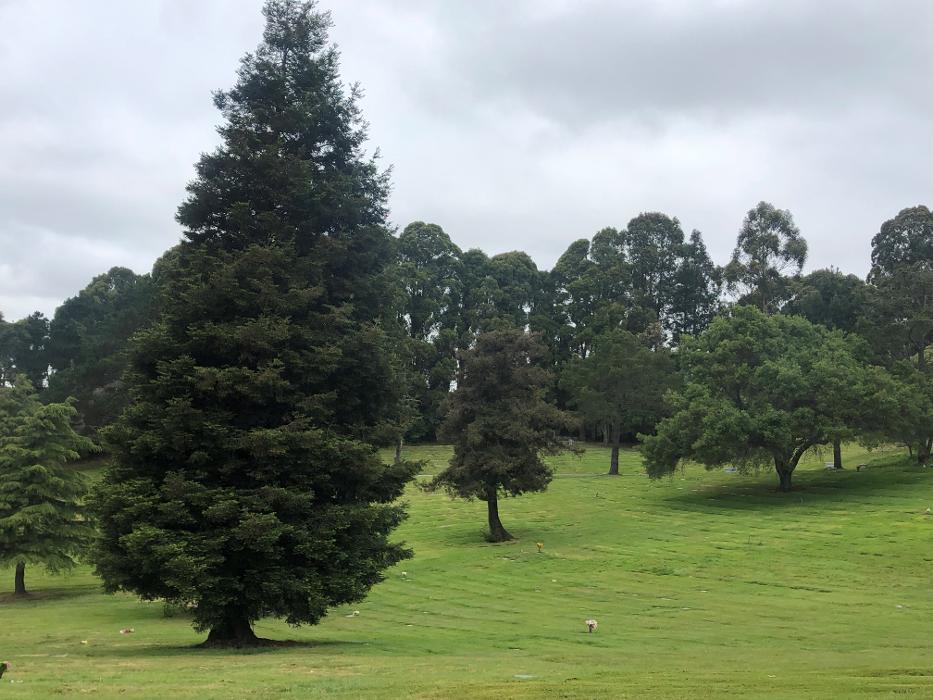 Rolling Hills Memorial Park - El Sobrante, CA