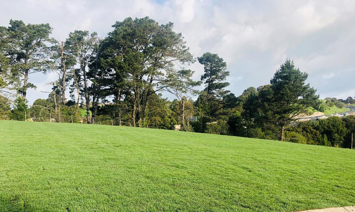 Rolling Hills Memorial Park - El Sobrante, CA