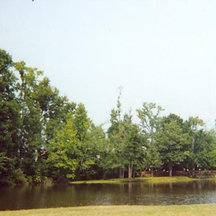 Richmond County Memorial Park Cemetery - Rockingham, NC