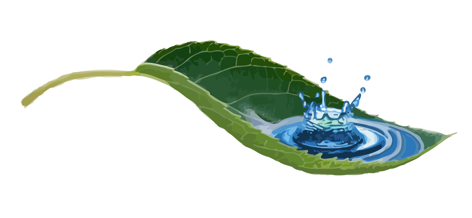 Naturheilpraxis Weiß in Langenhagen