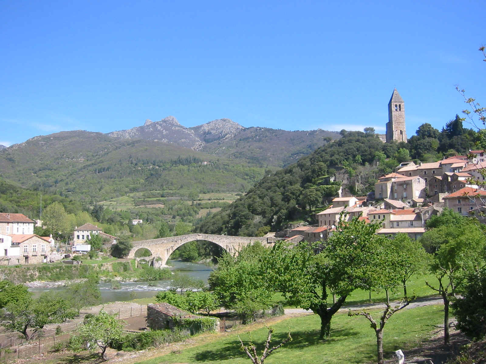 Miniature de la galerie