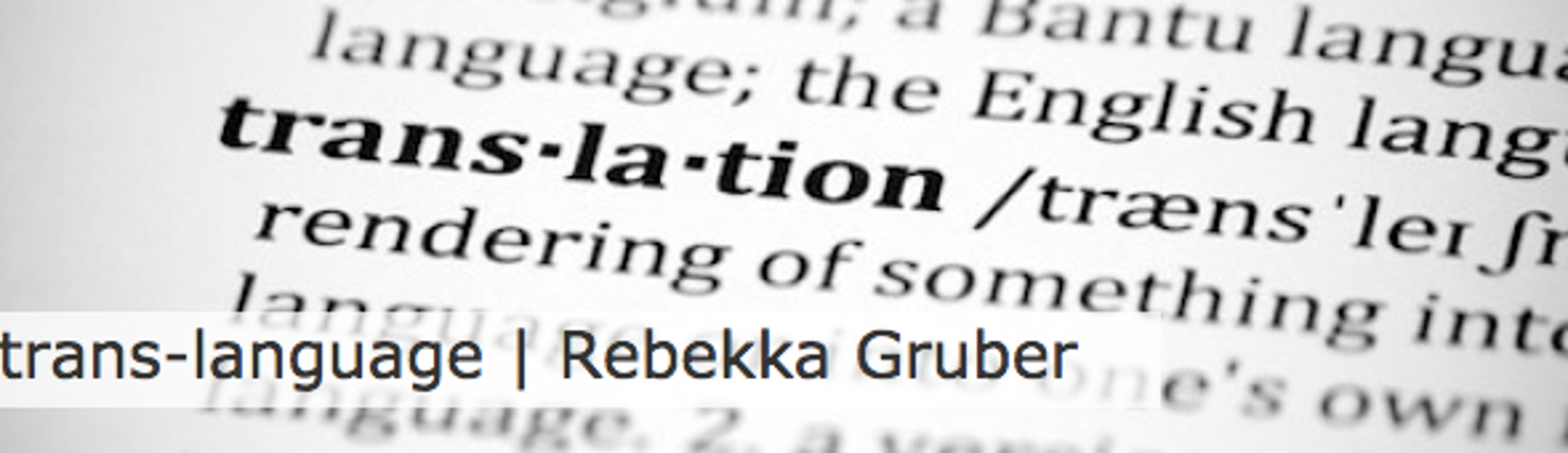 Trans-Language, Haintorstraße in Freinsheim