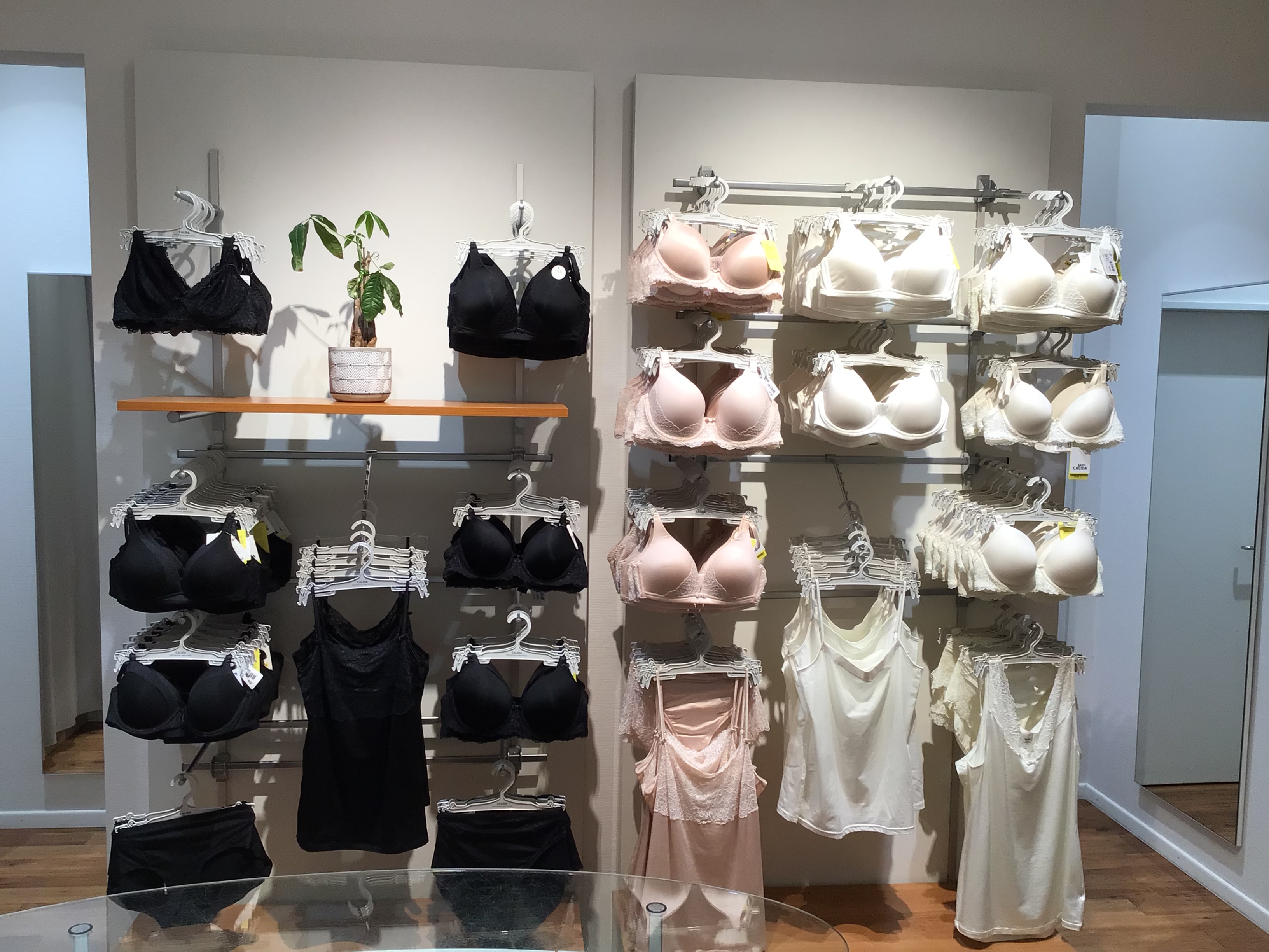 Galerie-Thumbnail
