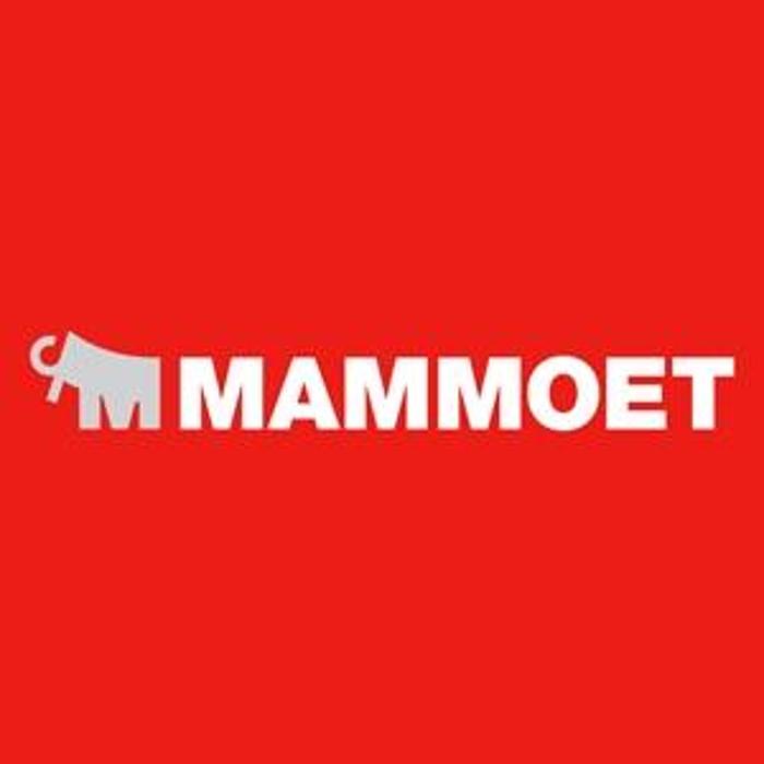 Mammoet Deutschland GmbH in Leuna