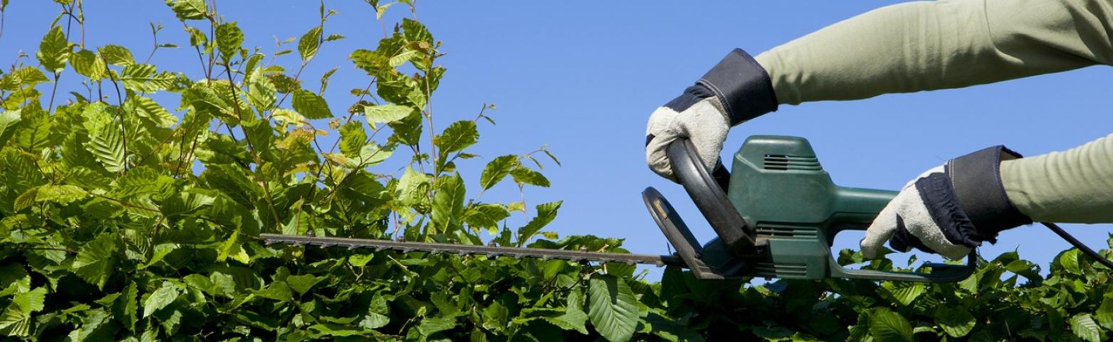 Braun-Clean-Service Gebäudereinigung und Dienstleistungen Süd-West GmbH in Hockenheim