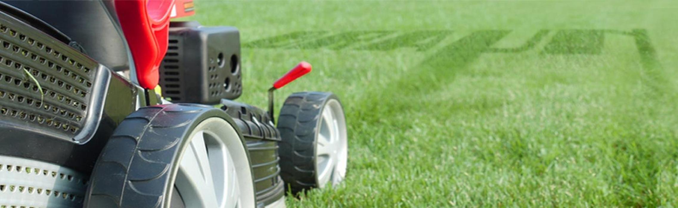 Braun-Clean-Service Gebäudereinigung und Dienstleistungen Süd-West GmbH in Hockenheim