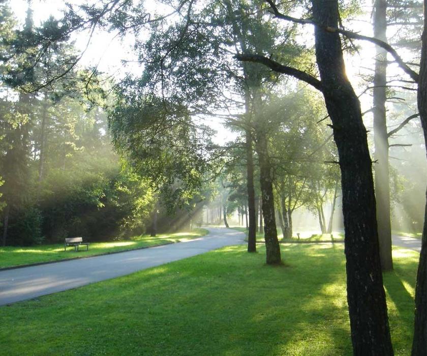 Friedhofsgärtnerei Bielefeld GmbH & Co. KG, Windelsbleicher Straße in Bielefeld