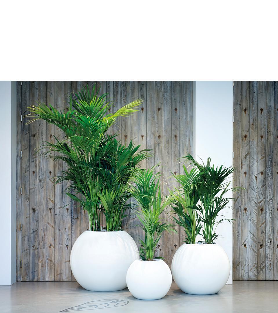 Foto de Baum & Raum Daniela Hinkelmann Leipzig Foto de Baum & Raum Daniela Hinkelmann Leipzig