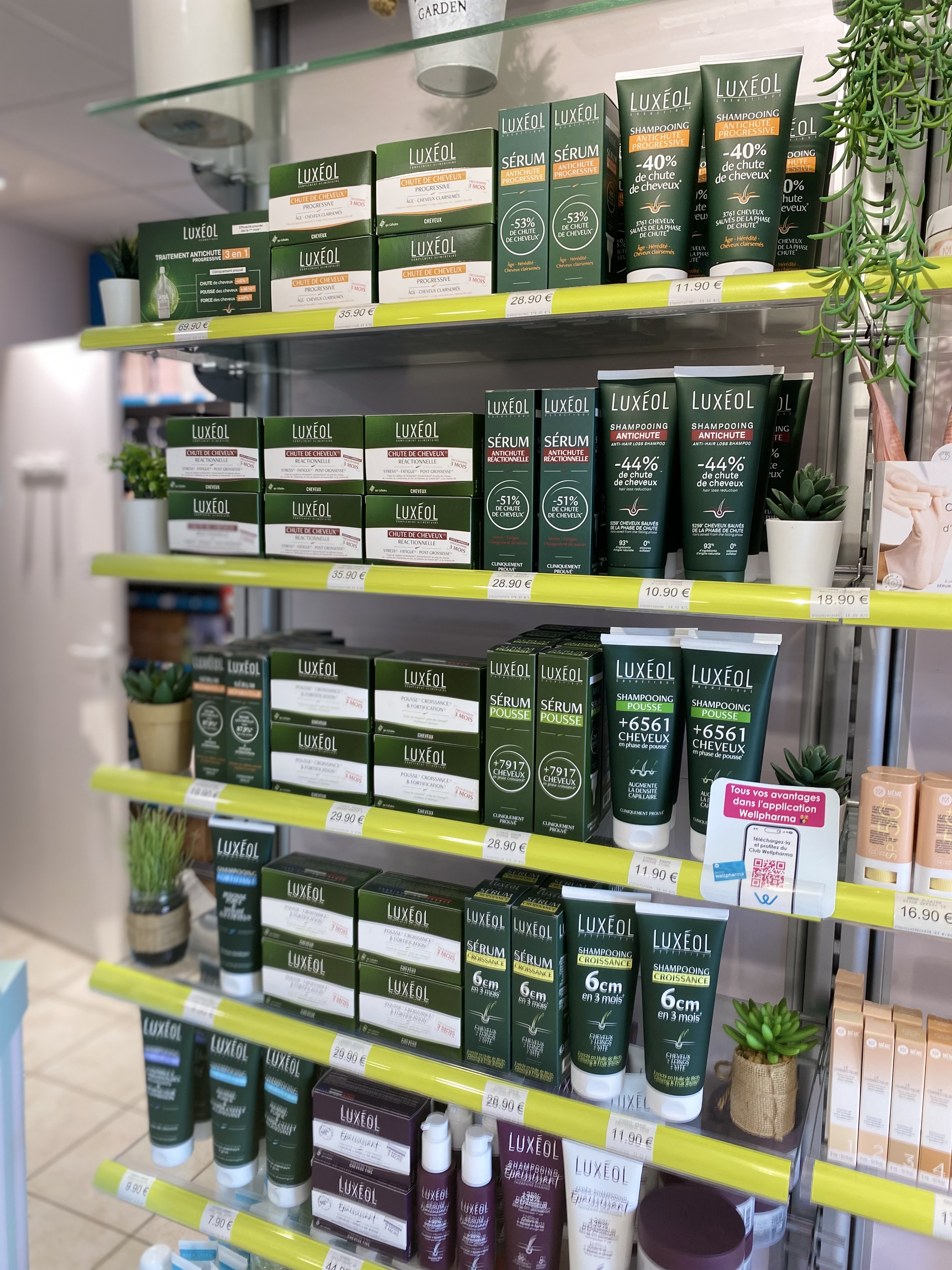 Gamme Luxéol Gamme Luxéol