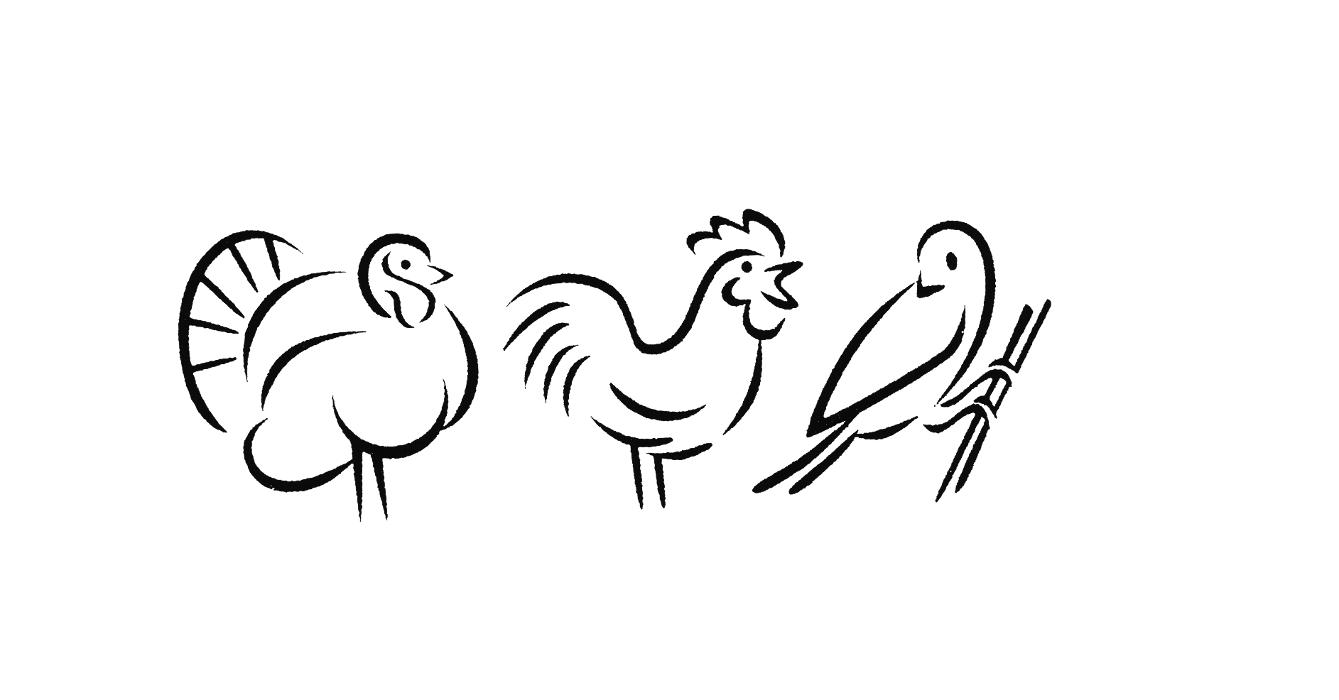 Vogeltierarzt Dr. Alexa Vaupel in Rommerskirchen