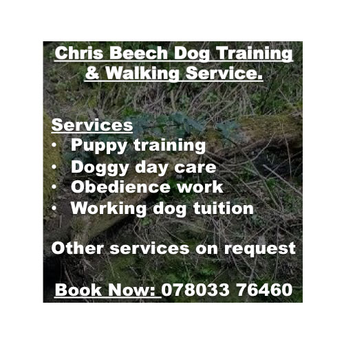 Chris Beech Dog Training And Walking Service Wakefield 07803 376460