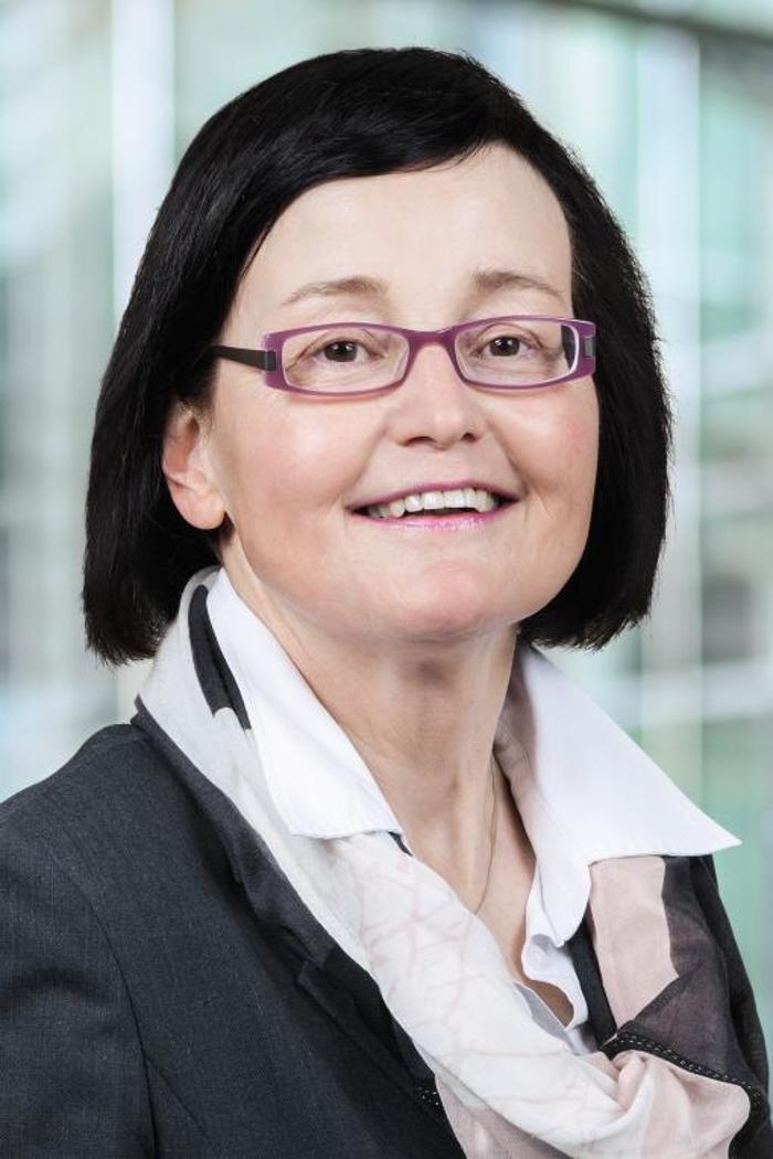 ERGO Versicherung Angelika Wilcken, Brüeler Straße in Warin