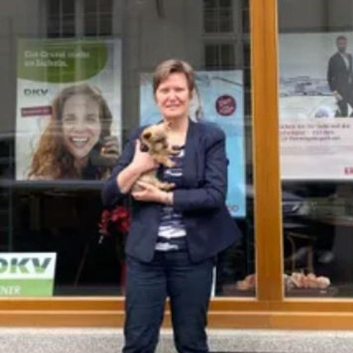 ERGO Versicherung Kathrin Brückner, Hinter Liebfrauen in Braunschweig