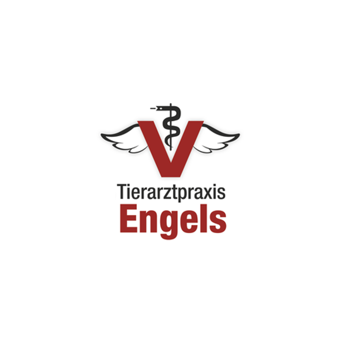 Bild zu Tierarztpraxis Jochen Engels in Köln