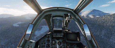dcs joystick