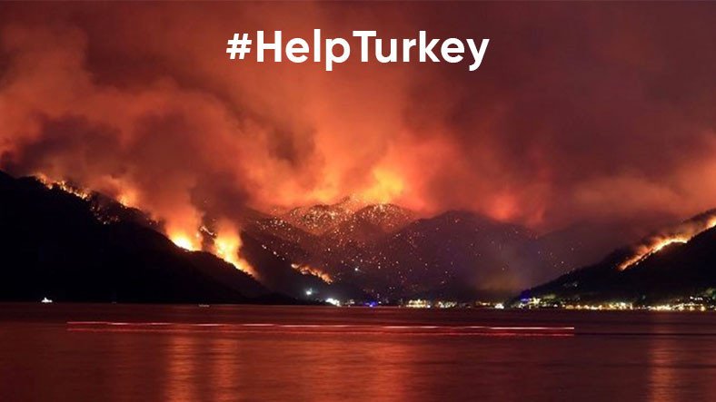 help turkey