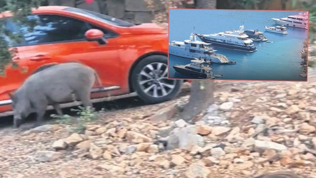 Bodrum'da garip görüntüler