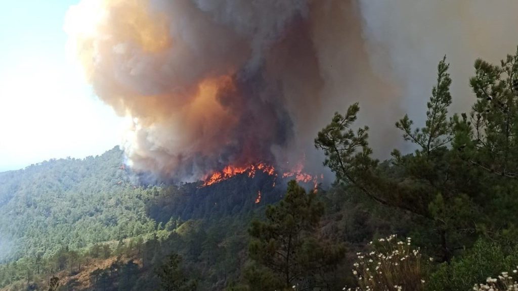 Marmaris’teki orman yangınında üçüncü gün