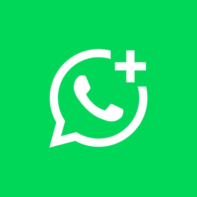 15556000743